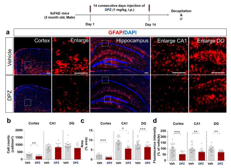 https://cdn.ncbi.nlm.nih.gov/pmc/blobs/9f29/8508964/3ae67c896104/ijms-22-10637-g009.jpg