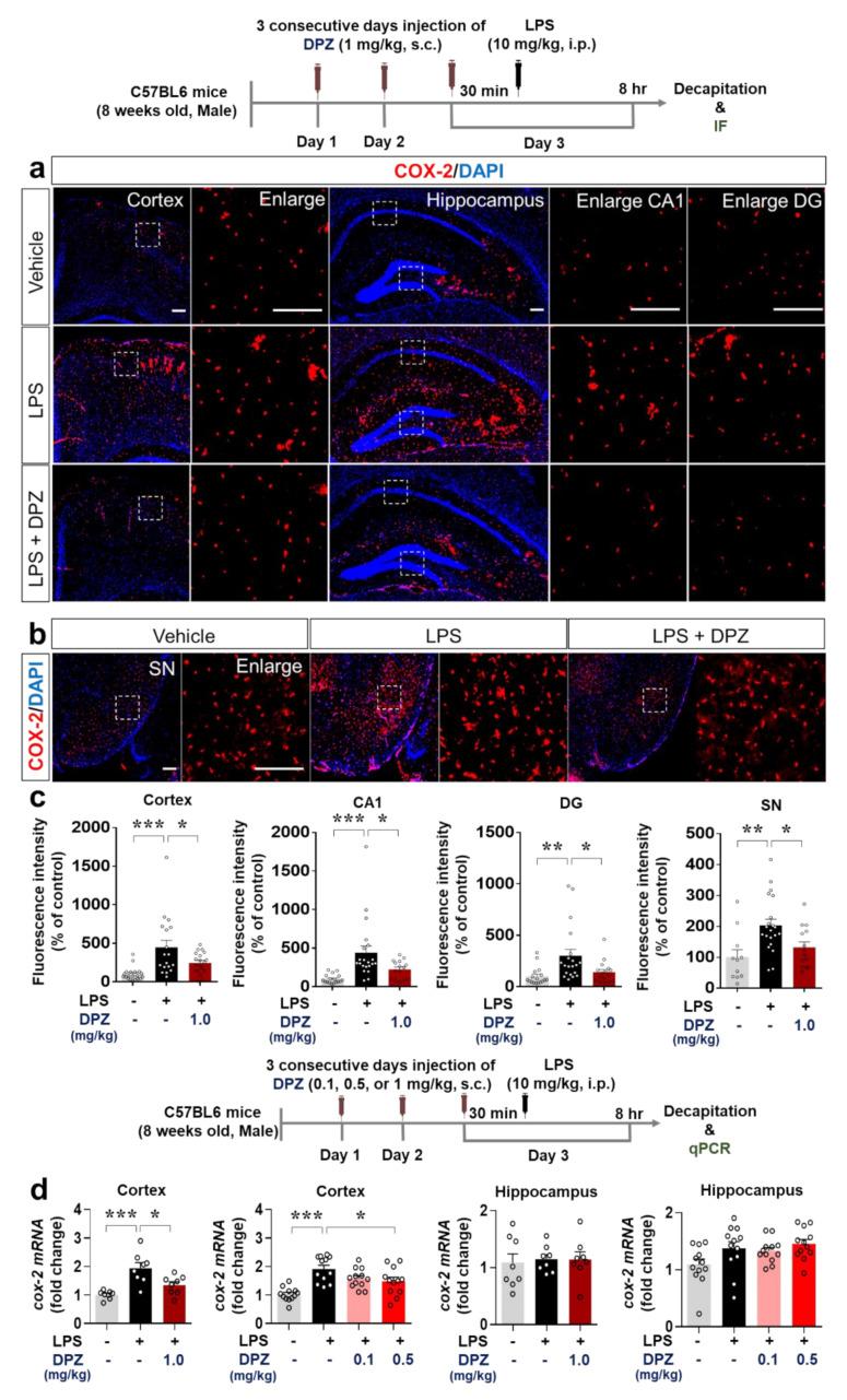 https://cdn.ncbi.nlm.nih.gov/pmc/blobs/9f29/8508964/78d05c8f3ba5/ijms-22-10637-g006.jpg