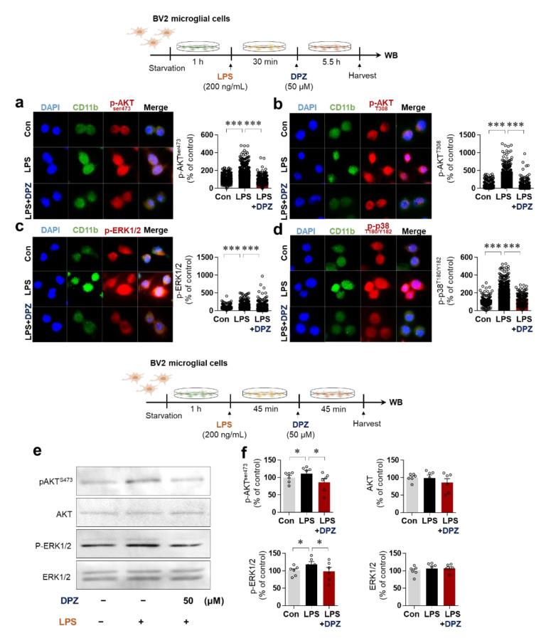 https://cdn.ncbi.nlm.nih.gov/pmc/blobs/9f29/8508964/86cf58e616d6/ijms-22-10637-g003.jpg
