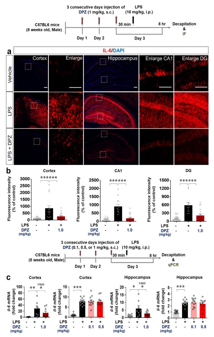 https://cdn.ncbi.nlm.nih.gov/pmc/blobs/9f29/8508964/c58c4ab6f0ae/ijms-22-10637-g007.jpg