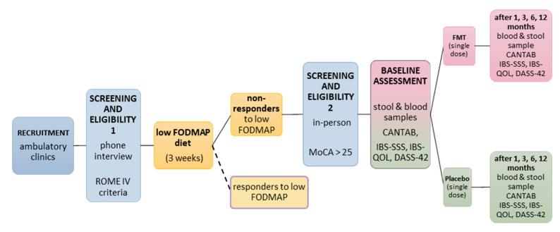 https://cdn.ncbi.nlm.nih.gov/pmc/blobs/9f2a/12388800/23fbdef67f4e/mps-08-00083-g002.jpg