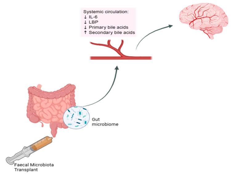 https://cdn.ncbi.nlm.nih.gov/pmc/blobs/9f2a/12388800/acbfecd7444d/mps-08-00083-g001.jpg