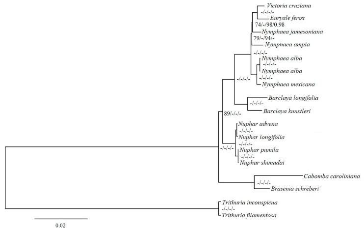 https://cdn.ncbi.nlm.nih.gov/pmc/blobs/9f2a/6320877/5f9a252c5721/ijms-19-03780-g006.jpg