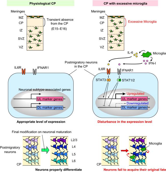 https://cdn.ncbi.nlm.nih.gov/pmc/blobs/9f31/8732885/cf6ba271d92b/12565_2021_631_Fig2_HTML.jpg
