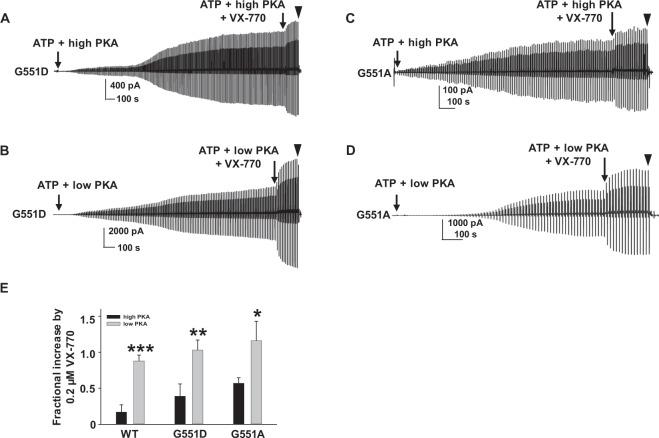 https://cdn.ncbi.nlm.nih.gov/pmc/blobs/9f32/6749054/4cb60daace77/41598_2019_49921_Fig7_HTML.jpg