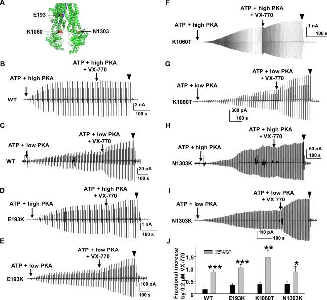 https://cdn.ncbi.nlm.nih.gov/pmc/blobs/9f32/6749054/4cec43023fc8/41598_2019_49921_Fig2_HTML.jpg