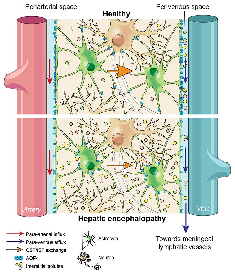 https://cdn.ncbi.nlm.nih.gov/pmc/blobs/9f37/7613052/3414d771ae47/EMS146577-f001.jpg