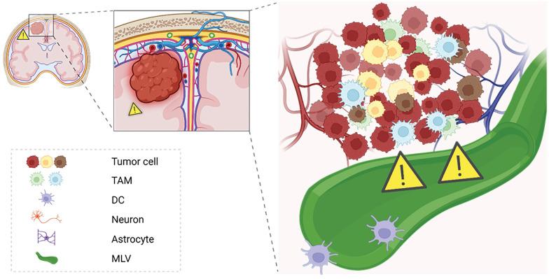 https://cdn.ncbi.nlm.nih.gov/pmc/blobs/9f39/12203814/4f6e24424307/thnov15p6983g006.jpg