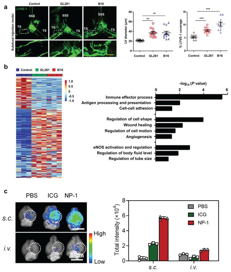 https://cdn.ncbi.nlm.nih.gov/pmc/blobs/9f39/12203814/604b9f9c84d3/thnov15p6983g008.jpg