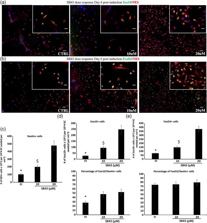 https://cdn.ncbi.nlm.nih.gov/pmc/blobs/9f39/6195909/b10579b159ae/BTM2-3-256-g006.jpg