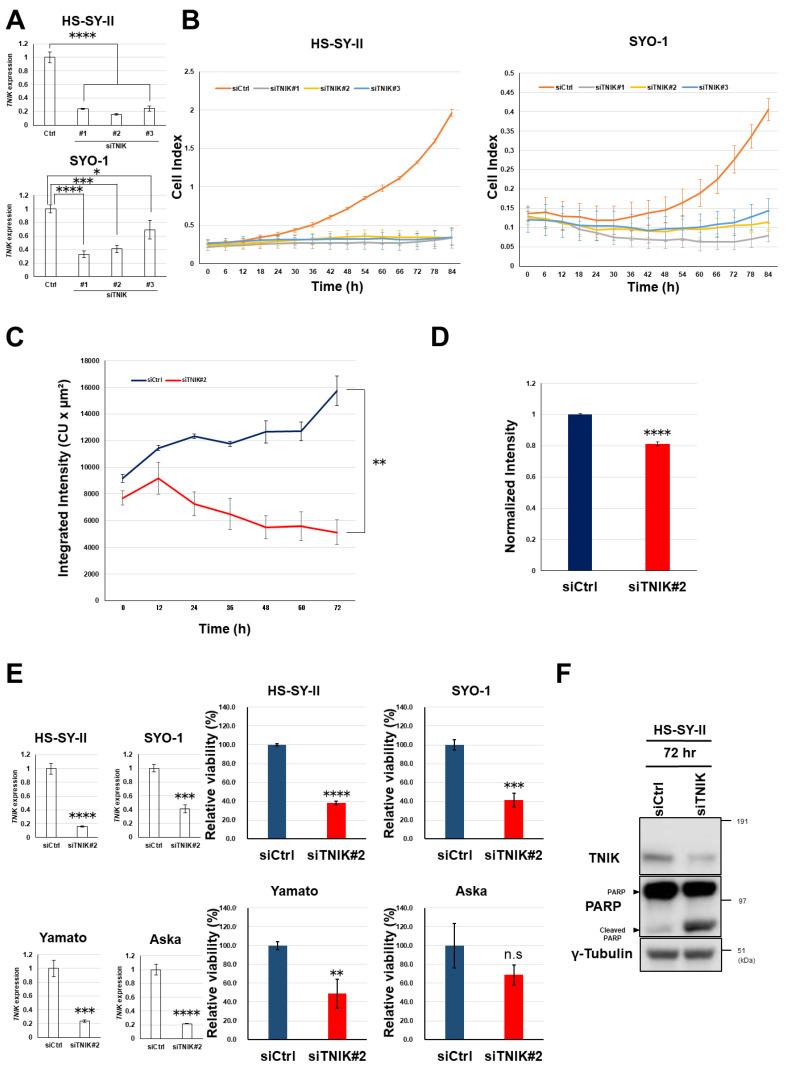 https://cdn.ncbi.nlm.nih.gov/pmc/blobs/9f3a/7281028/4d9bb79629bc/cancers-12-01258-g002.jpg