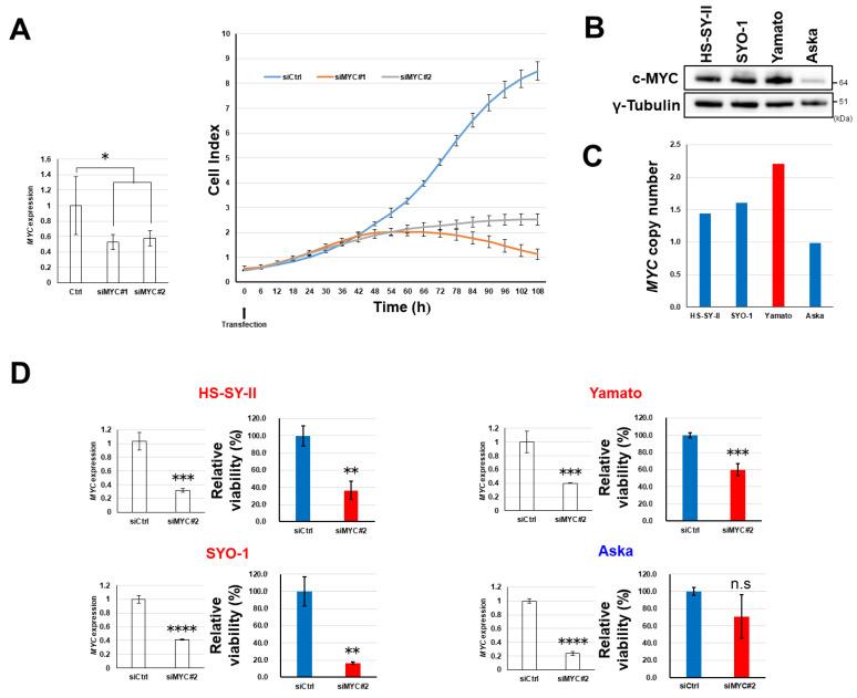 https://cdn.ncbi.nlm.nih.gov/pmc/blobs/9f3a/7281028/57e7783cda2e/cancers-12-01258-g006.jpg