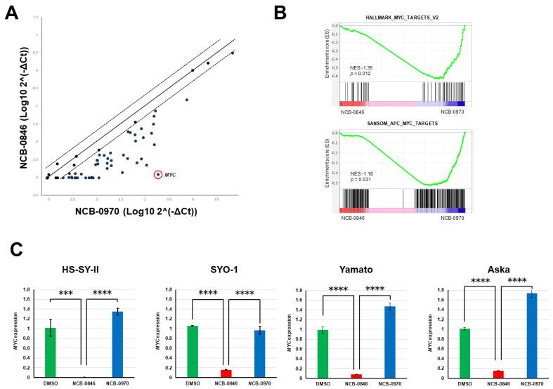 https://cdn.ncbi.nlm.nih.gov/pmc/blobs/9f3a/7281028/d335fd37c238/cancers-12-01258-g005.jpg