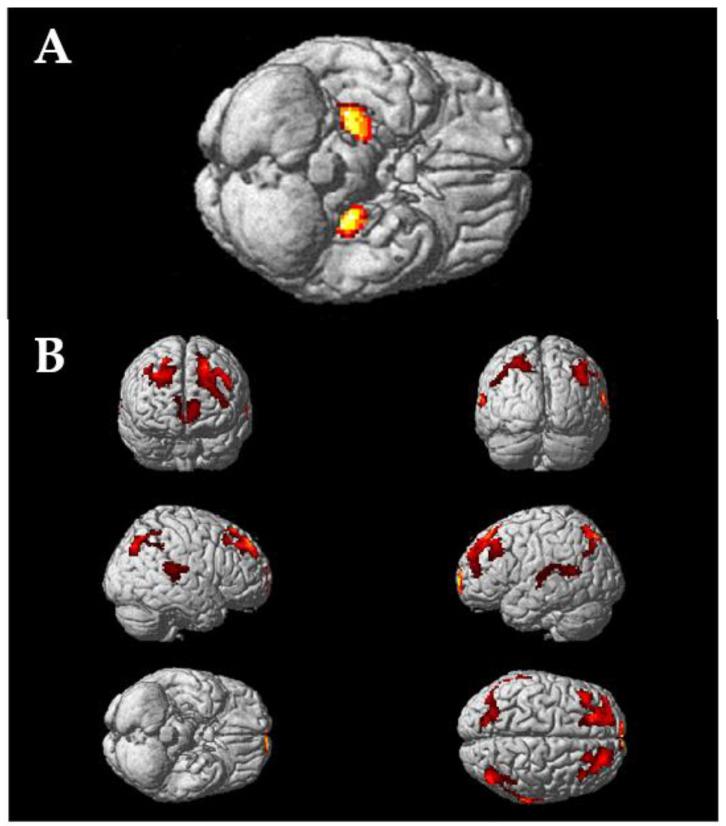 https://cdn.ncbi.nlm.nih.gov/pmc/blobs/9f3c/10216046/7ffe8300eb32/biomolecules-13-00843-g002.jpg