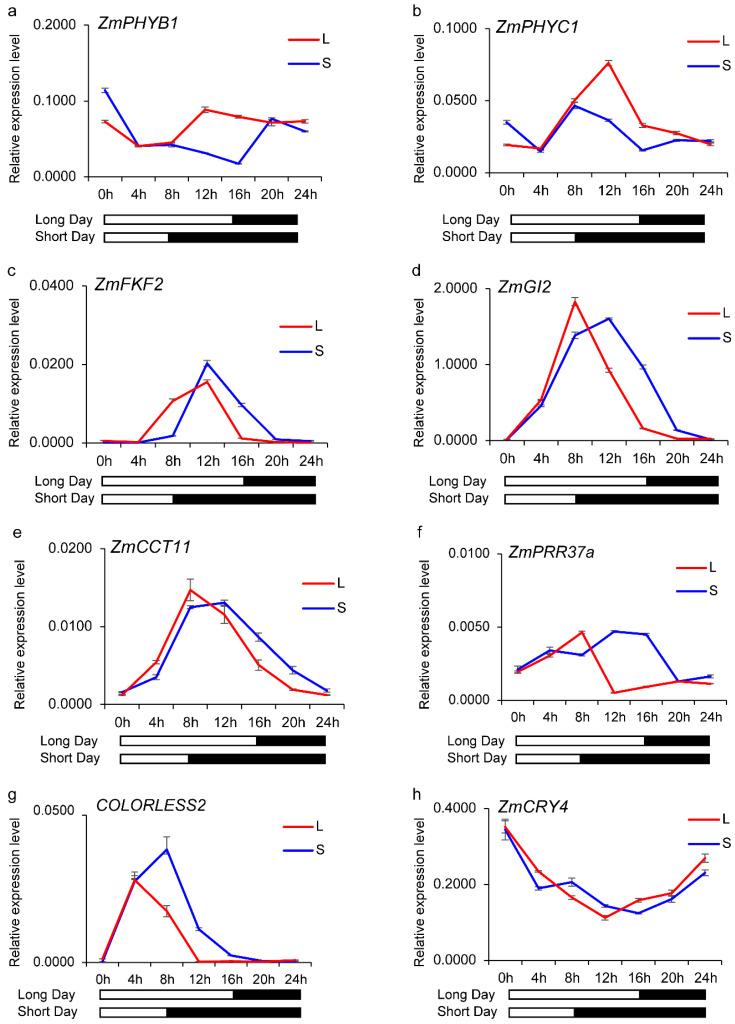 https://cdn.ncbi.nlm.nih.gov/pmc/blobs/9f3c/11855818/bd8b6b93ac22/genes-16-00192-g006.jpg