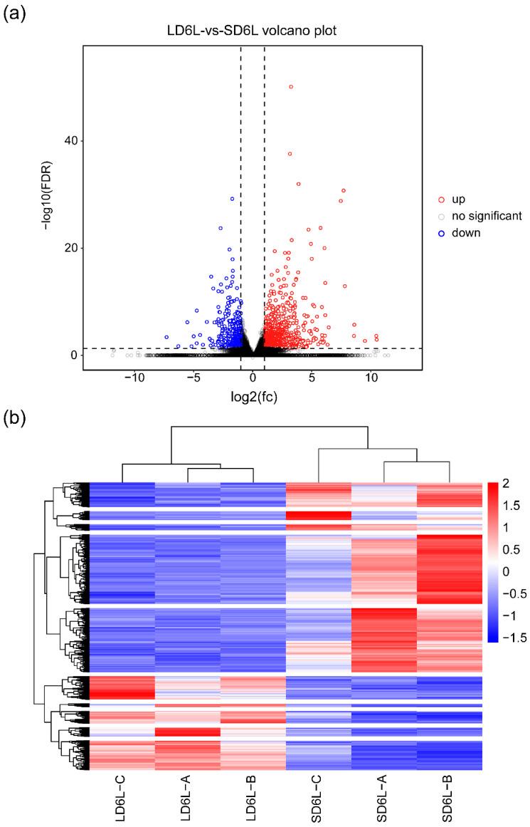 https://cdn.ncbi.nlm.nih.gov/pmc/blobs/9f3c/11855818/eeddc13b2a04/genes-16-00192-g003.jpg