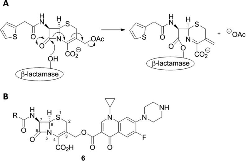 https://cdn.ncbi.nlm.nih.gov/pmc/blobs/9f3c/6511942/8c80febbb700/jm-2018-019237_0002.jpg