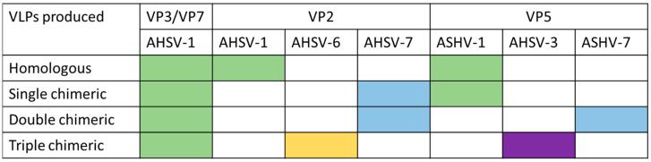 https://cdn.ncbi.nlm.nih.gov/pmc/blobs/9f3d/11206403/55162bbfe21f/pathogens-13-00458-g004.jpg