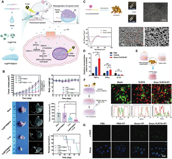 https://cdn.ncbi.nlm.nih.gov/pmc/blobs/9f41/11651419/7a592882af19/research.0477.fig.008.jpg