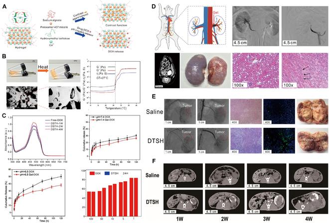 https://cdn.ncbi.nlm.nih.gov/pmc/blobs/9f41/11651419/a280e6194e89/research.0477.fig.009.jpg