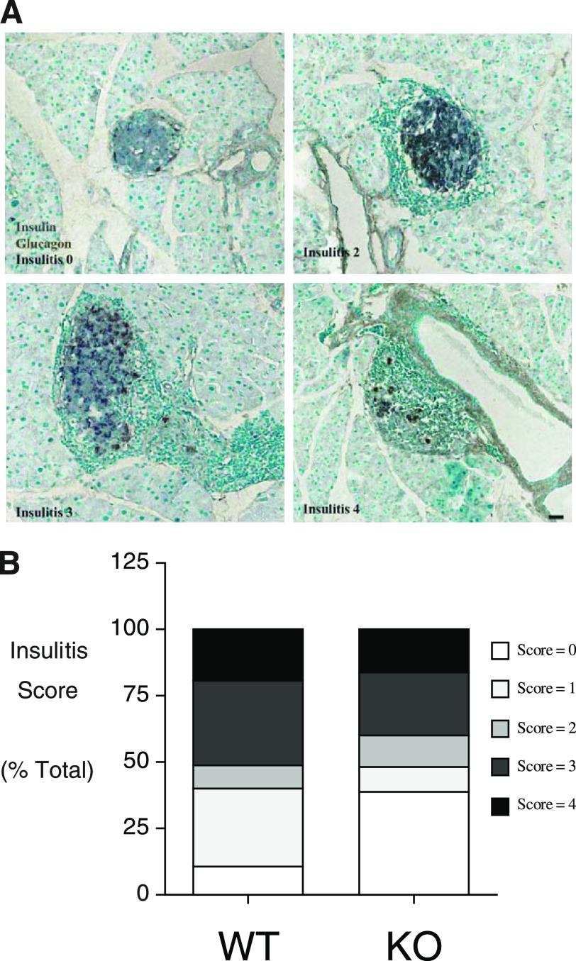 https://cdn.ncbi.nlm.nih.gov/pmc/blobs/9f45/3198073/4900372d3048/2922fig3.jpg