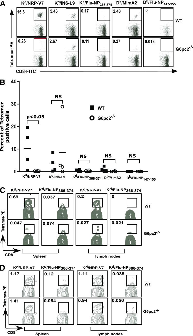 https://cdn.ncbi.nlm.nih.gov/pmc/blobs/9f45/3198073/7e6d555a10be/2922fig4.jpg