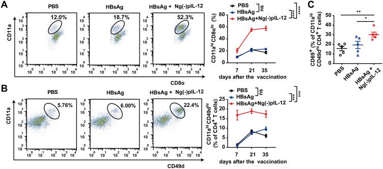 https://cdn.ncbi.nlm.nih.gov/pmc/blobs/9f45/8312321/06d8c5367e5b/IJN-16-4913-g0004.jpg