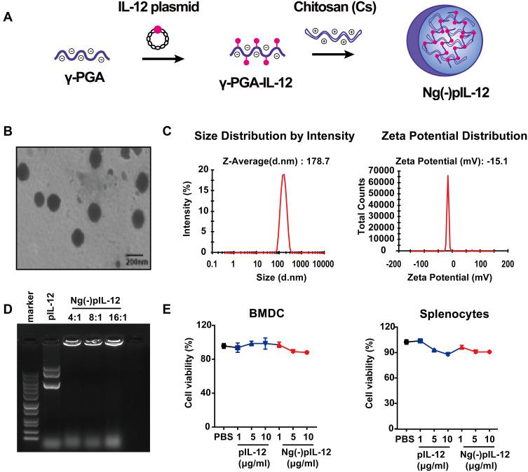 https://cdn.ncbi.nlm.nih.gov/pmc/blobs/9f45/8312321/a3d0d3412fda/IJN-16-4913-g0002.jpg