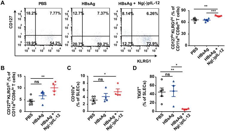 https://cdn.ncbi.nlm.nih.gov/pmc/blobs/9f45/8312321/ef7c5d71a1d3/IJN-16-4913-g0007.jpg