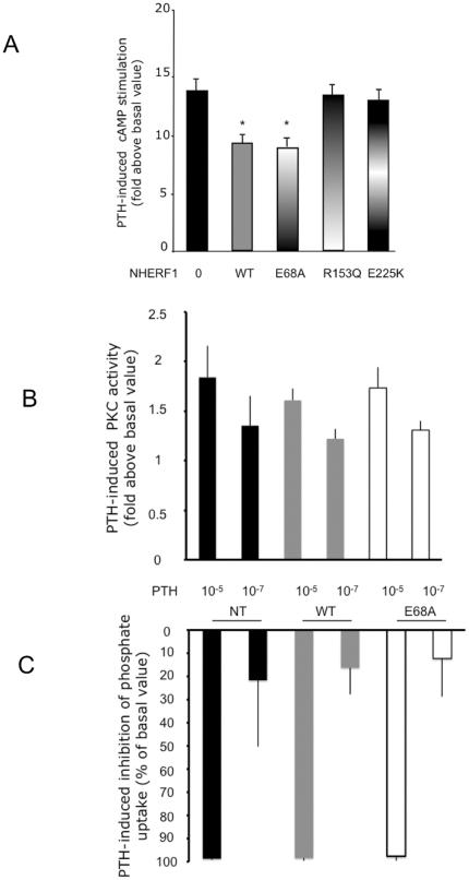 https://cdn.ncbi.nlm.nih.gov/pmc/blobs/9f46/3323571/7b418e5e530e/pone.0034764.g003.jpg