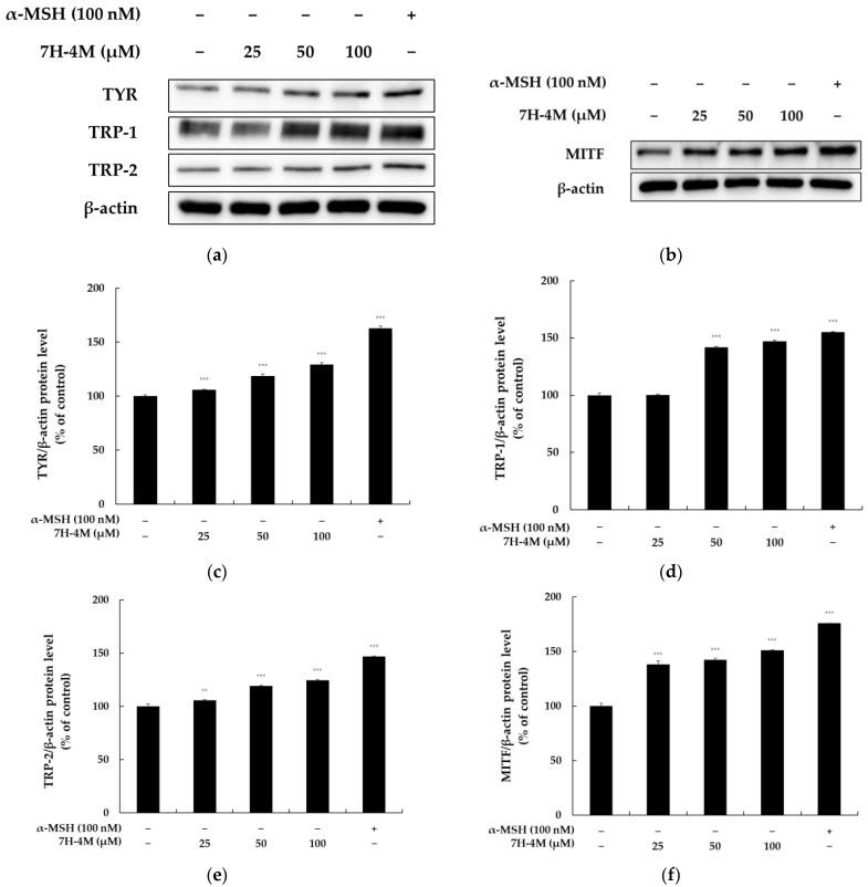 https://cdn.ncbi.nlm.nih.gov/pmc/blobs/9f49/10096152/3c5b56cabfb3/molecules-28-03039-g004.jpg