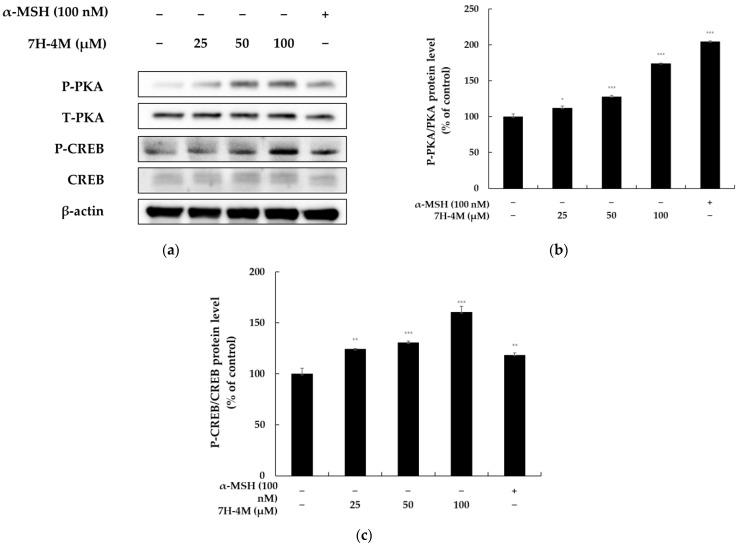 https://cdn.ncbi.nlm.nih.gov/pmc/blobs/9f49/10096152/475d1a82a15c/molecules-28-03039-g007.jpg