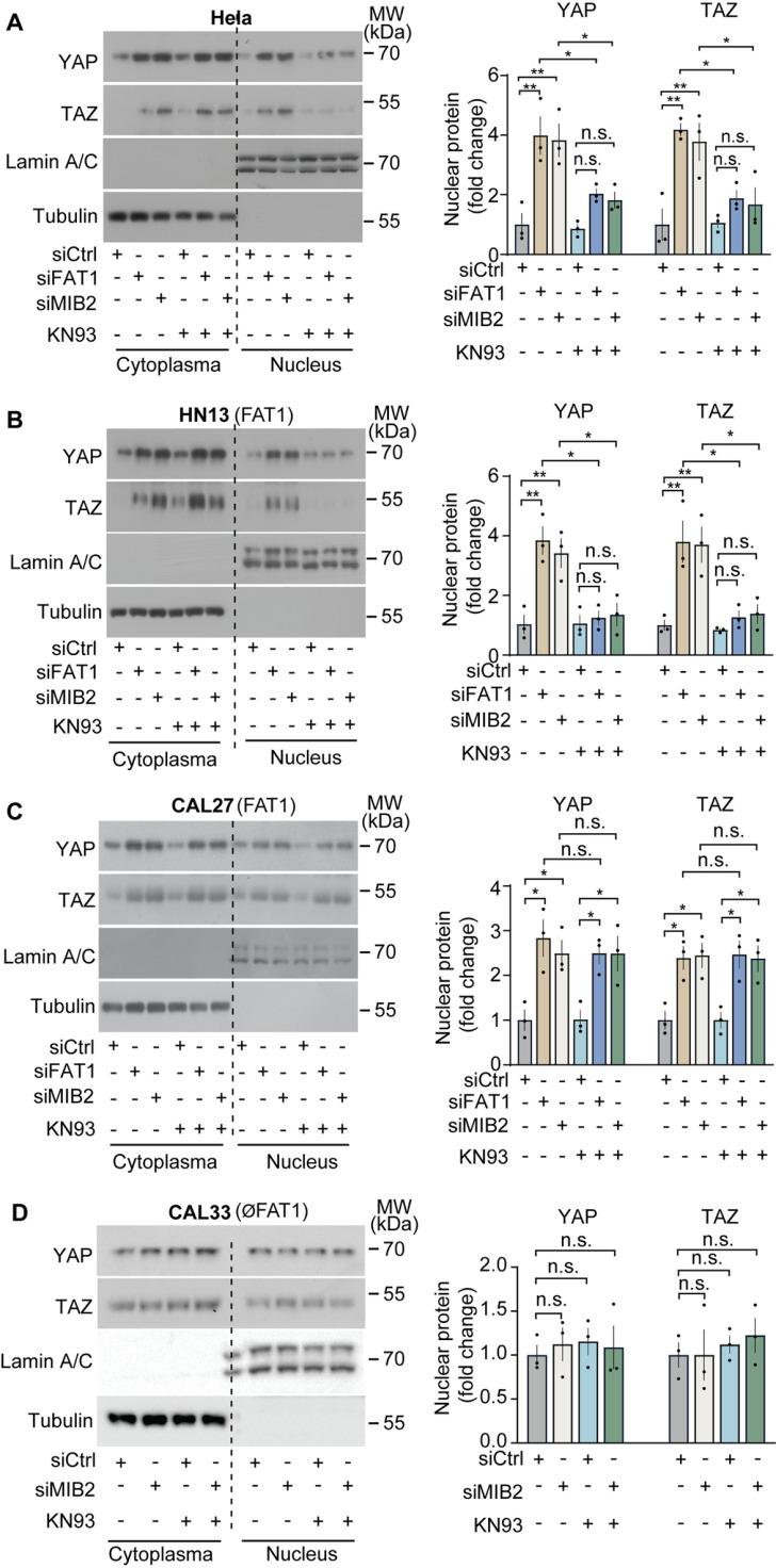 https://cdn.ncbi.nlm.nih.gov/pmc/blobs/9f49/12143506/2972ddf56468/pone.0325535.g005.jpg