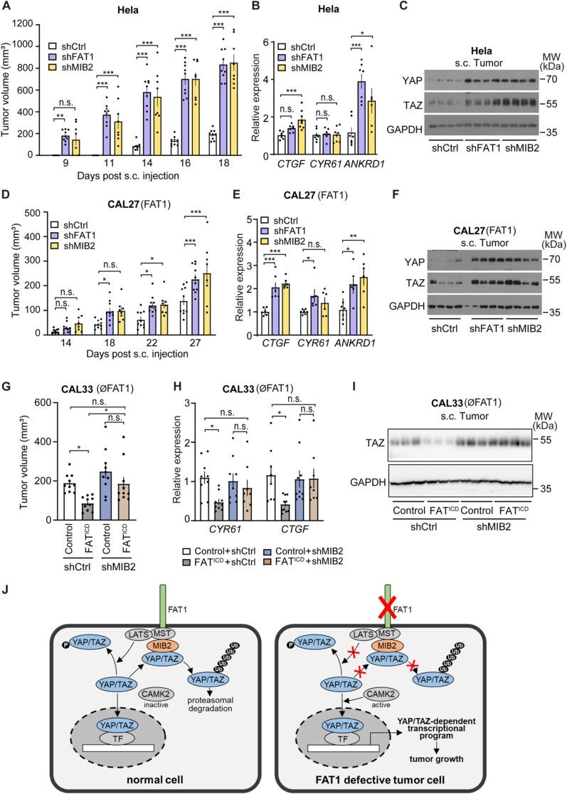 https://cdn.ncbi.nlm.nih.gov/pmc/blobs/9f49/12143506/325e5d671e48/pone.0325535.g007.jpg