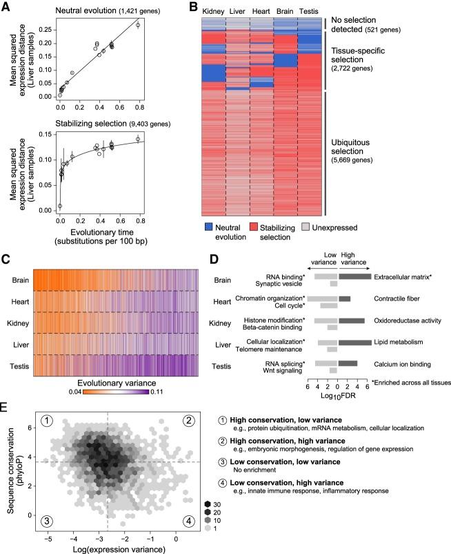 https://cdn.ncbi.nlm.nih.gov/pmc/blobs/9f49/6314168/f596c6039a7a/53f02.jpg