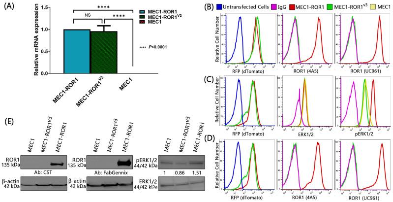 https://cdn.ncbi.nlm.nih.gov/pmc/blobs/9f4c/11274362/efe68d638378/biomedicines-12-01573-g002.jpg