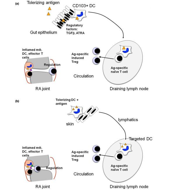 https://cdn.ncbi.nlm.nih.gov/pmc/blobs/9f4f/3672739/00c8ce3f4210/ar4130-1.jpg