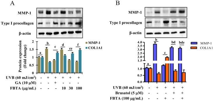 https://cdn.ncbi.nlm.nih.gov/pmc/blobs/9f54/6357030/c1269c2a1e6b/nutrients-11-00060-g007.jpg