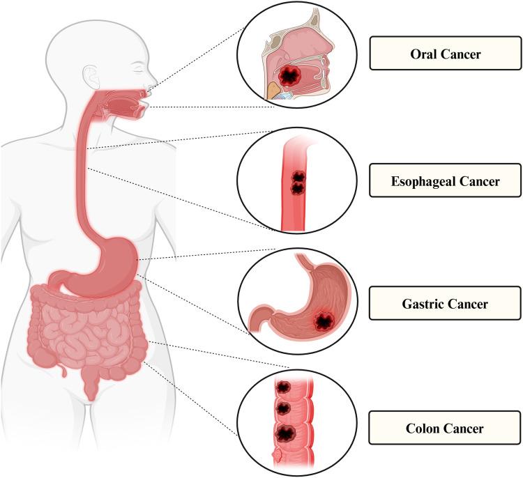 https://cdn.ncbi.nlm.nih.gov/pmc/blobs/9f55/11752831/4efee3a3d923/IJN-20-741-g0002.jpg
