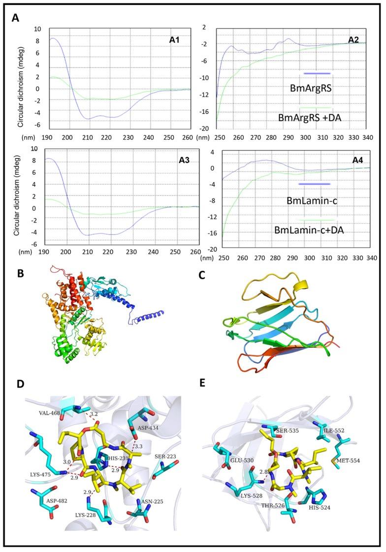 https://cdn.ncbi.nlm.nih.gov/pmc/blobs/9f56/7076788/66bad2a0572b/toxins-12-00137-g002.jpg