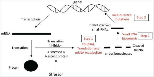 https://cdn.ncbi.nlm.nih.gov/pmc/blobs/9f57/5066521/ded4a4830103/ktrn-07-05-1221491-g001.jpg