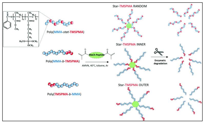 https://cdn.ncbi.nlm.nih.gov/pmc/blobs/9f5b/8513068/3a94862b454d/polymers-13-03395-g010.jpg