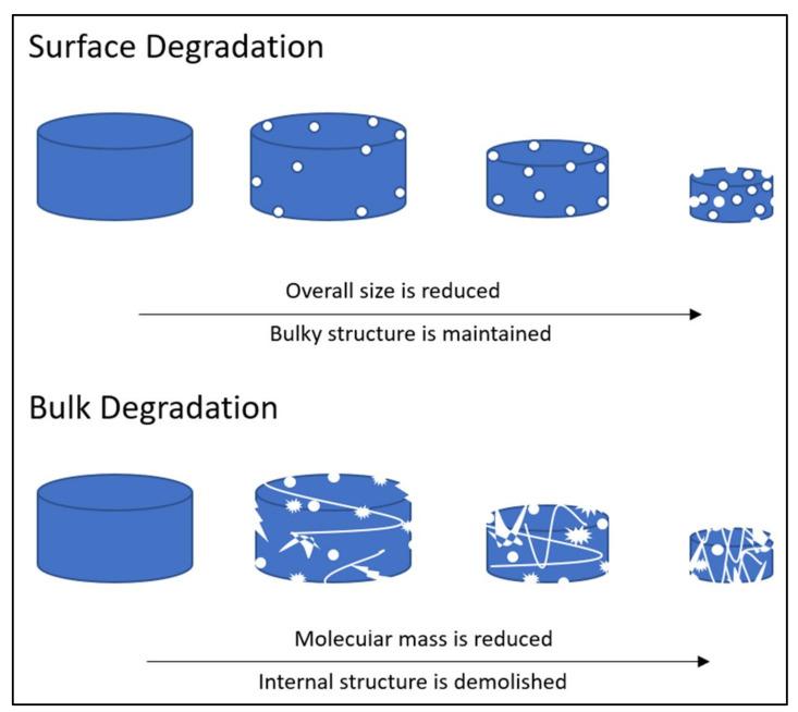 https://cdn.ncbi.nlm.nih.gov/pmc/blobs/9f5b/8513068/724851854c6b/polymers-13-03395-g006.jpg