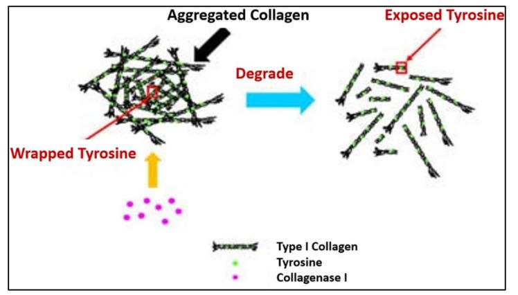 https://cdn.ncbi.nlm.nih.gov/pmc/blobs/9f5b/8513068/a3754162163a/polymers-13-03395-g014.jpg