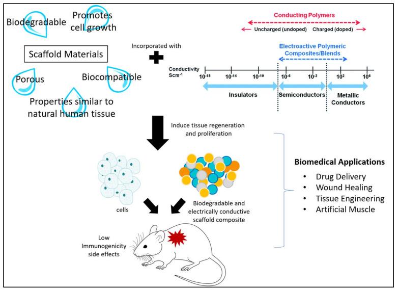 https://cdn.ncbi.nlm.nih.gov/pmc/blobs/9f5b/8513068/eec2a7c4cc29/polymers-13-03395-g002.jpg