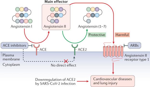 https://cdn.ncbi.nlm.nih.gov/pmc/blobs/9f5c/7370876/295e5430be4c/41569_2020_413_Fig3_HTML.jpg