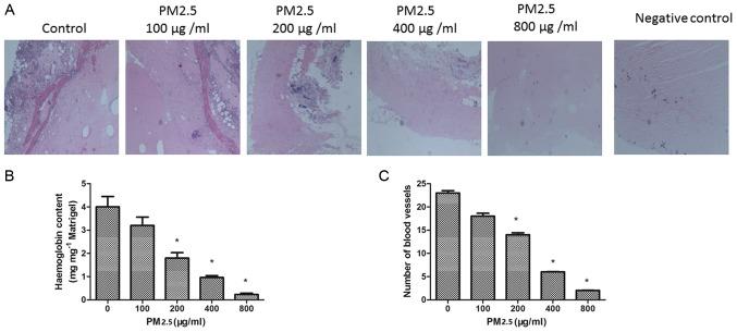 https://cdn.ncbi.nlm.nih.gov/pmc/blobs/9f5d/5547934/1a398ccc0e45/MMR-16-03-2425-g07.jpg