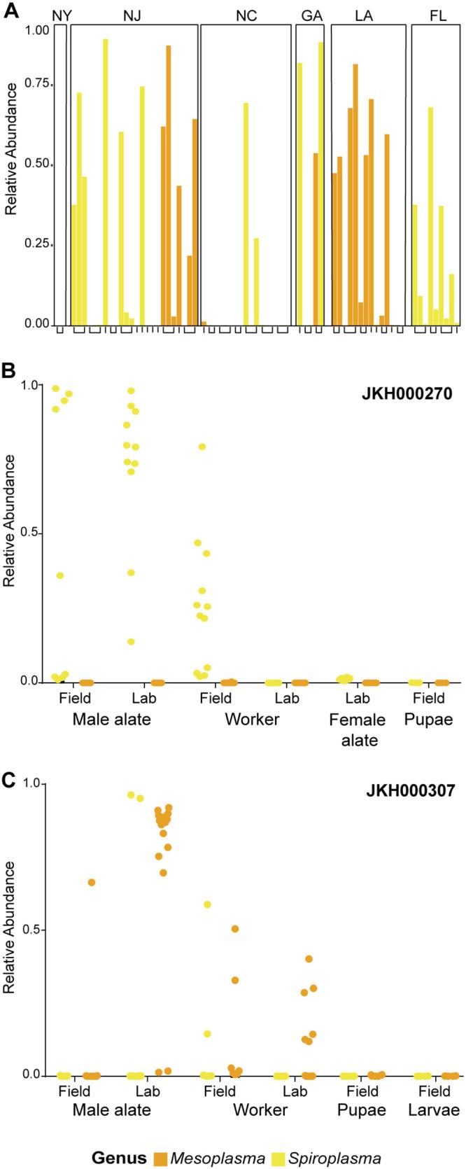 https://cdn.ncbi.nlm.nih.gov/pmc/blobs/9f5d/9429924/5d96ca8b6a43/msphere.00989-21-f005.jpg