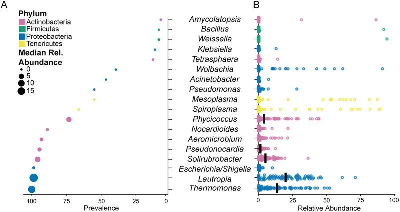 https://cdn.ncbi.nlm.nih.gov/pmc/blobs/9f5d/9429924/a91ee9596578/msphere.00989-21-f001.jpg