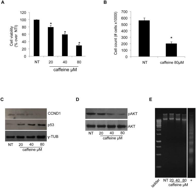 https://cdn.ncbi.nlm.nih.gov/pmc/blobs/9f5e/5033359/f71b97f8372c/pone.0163078.g001.jpg